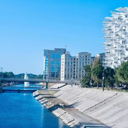 T2 A L'arbre Blanc Apartment